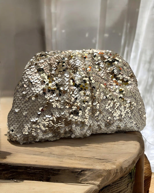 Champagne meduim pouch