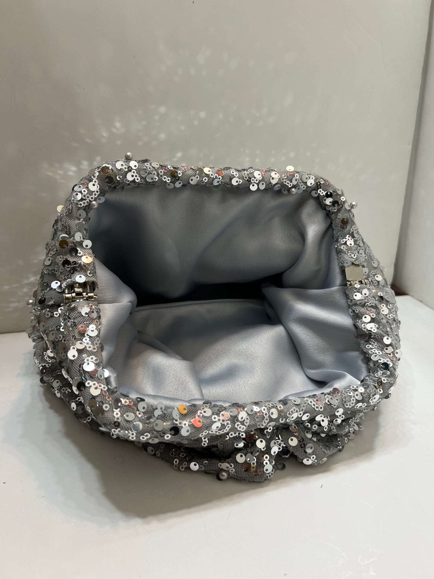 Pearly silver meduim pouch
